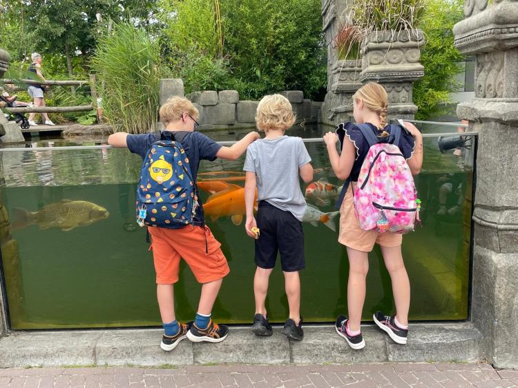 Eenoudervakantie Zomers Avontuur in Drenthe