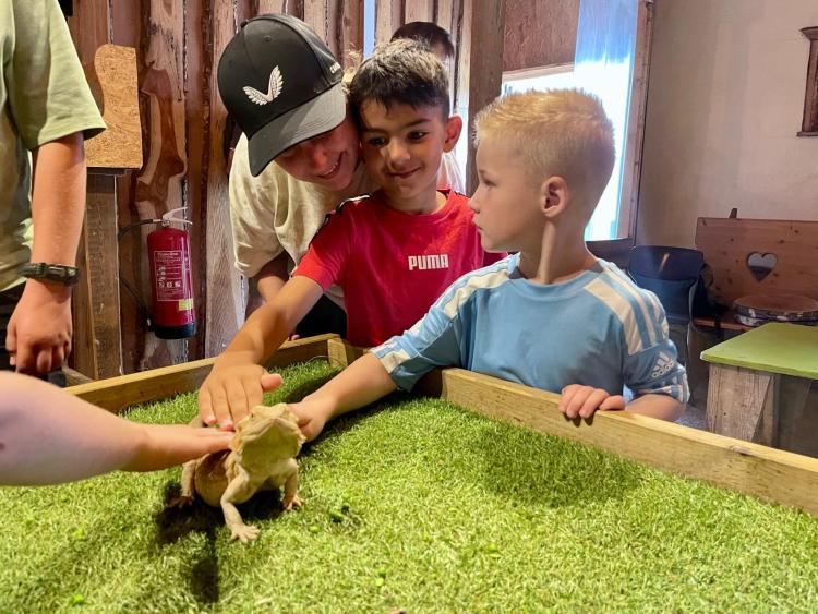 Eenoudervakantie Zomers Avontuur in Drenthe