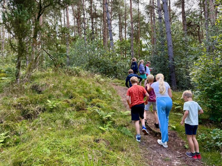 Eenoudervakantie Zomers Avontuur in Drenthe