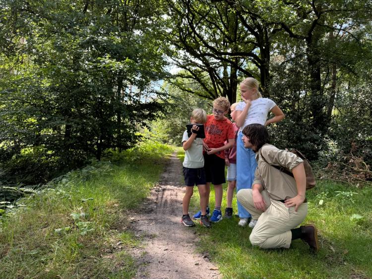 Eenoudervakantie Zomers Avontuur in Drenthe