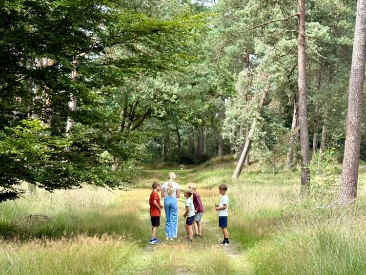 Eenoudervakantie Zomers Avontuur in Drenthe