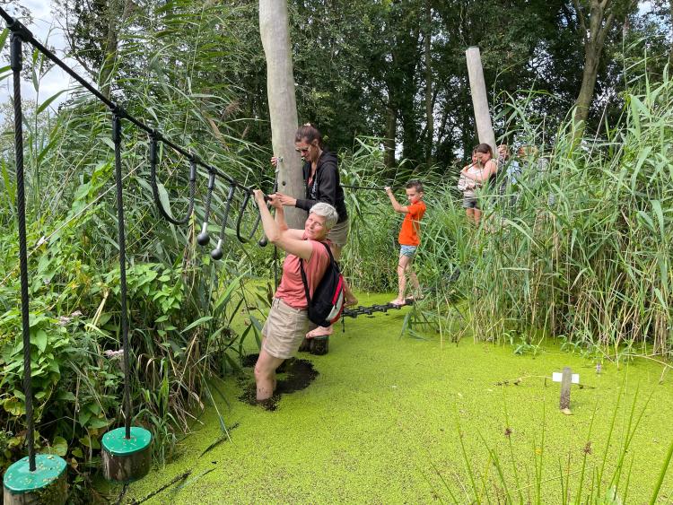 Eenoudervakantie Zomers Avontuur Aan de Friese meren