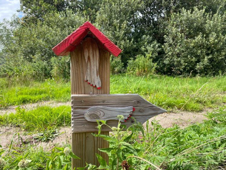 Eenoudervakantie Zomers Avontuur Aan de Friese meren