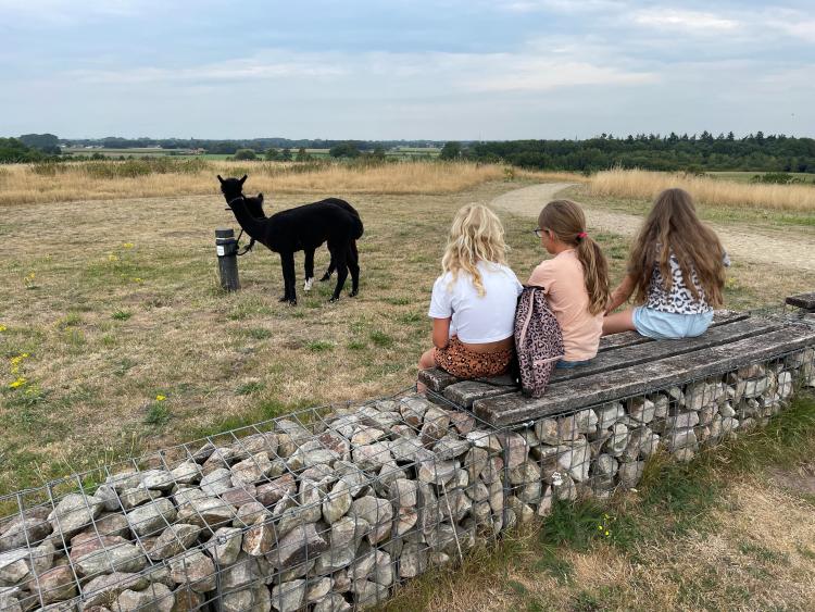 Eenoudervakantie Zomers Avontuur in Hengelo