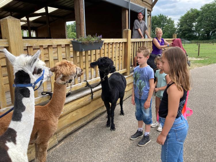 Eenoudervakantie Zomers Avontuur in Hengelo