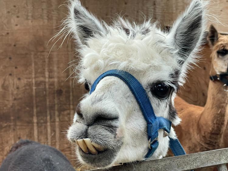 Eenoudervakantie Zomers Avontuur in Hengelo