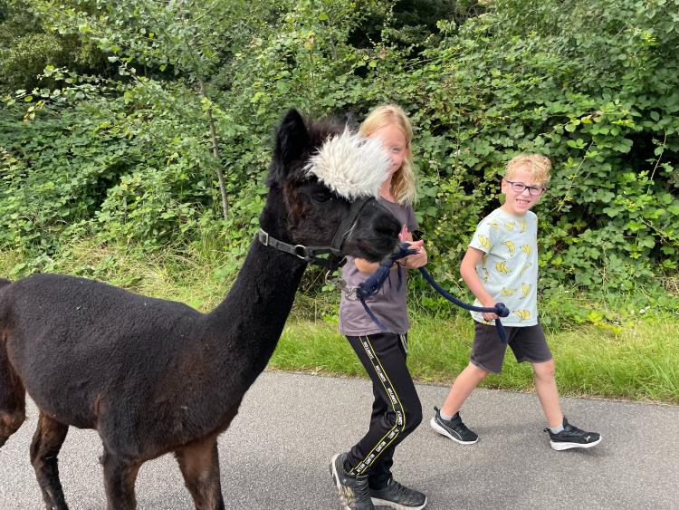 Eenoudervakantie Zomers Avontuur in Hengelo