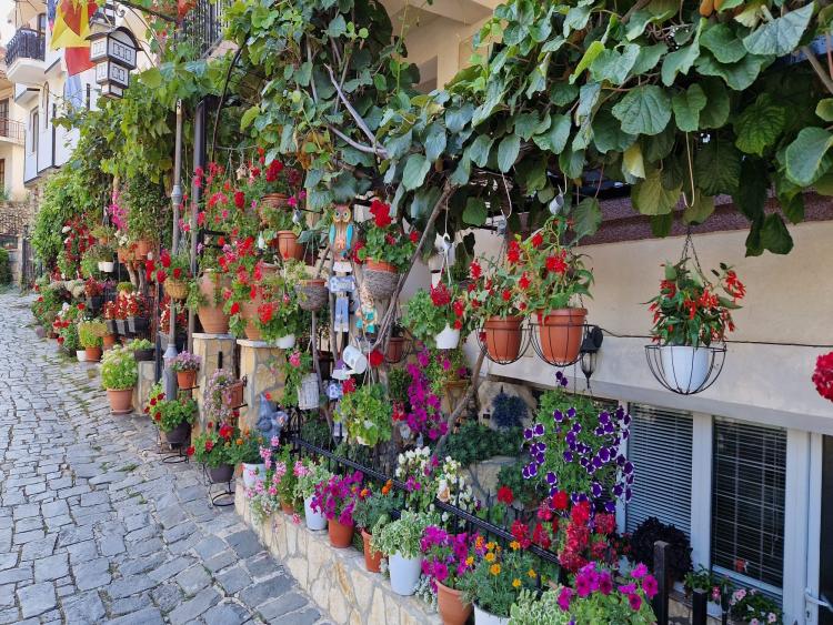 Eenoudervakantie Zonvakantie Aan het meer van Ohrid