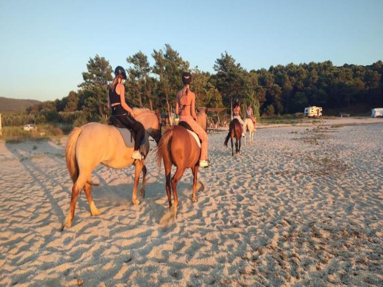 Eenoudervakantie Zonvakantie Ammoudia in Griekenland