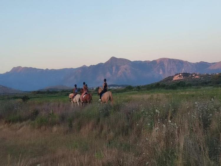 Eenoudervakantie Zonvakantie Ammoudia in Griekenland
