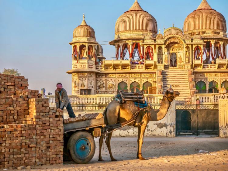 Dag 4: Shekhawati
