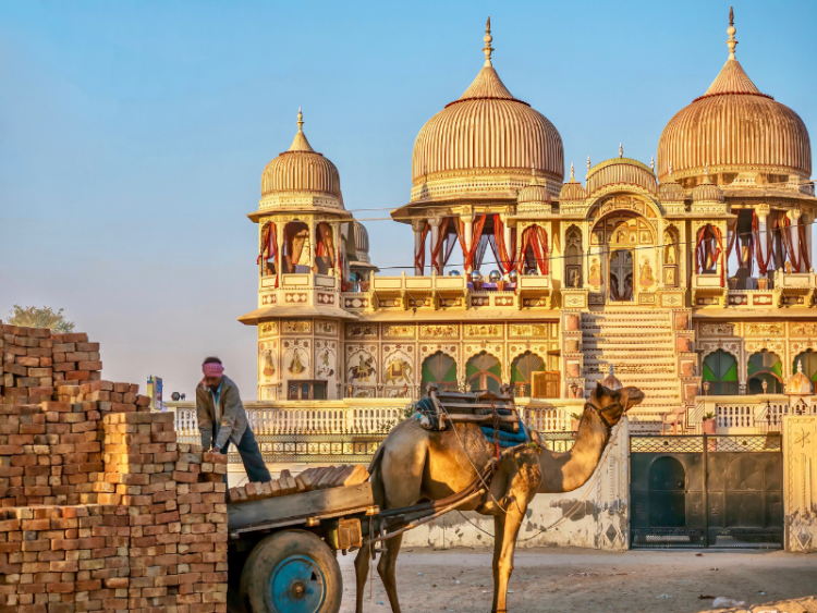 Dag 14: Shekhawati