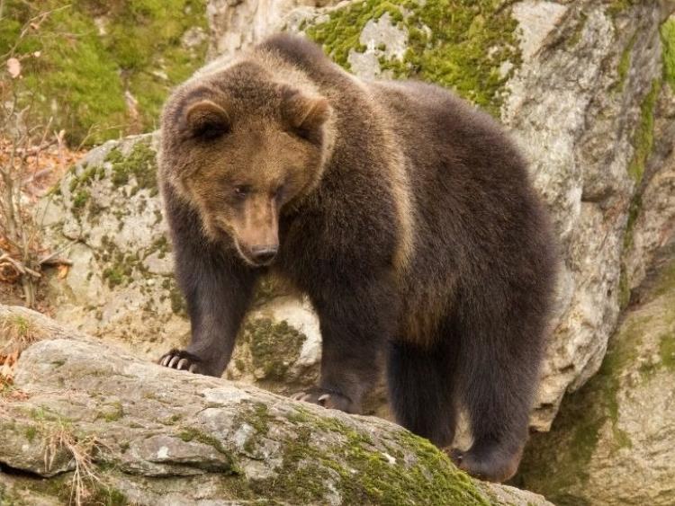 Jongerenreis Actieve rondreis in Slowakije & Krakau