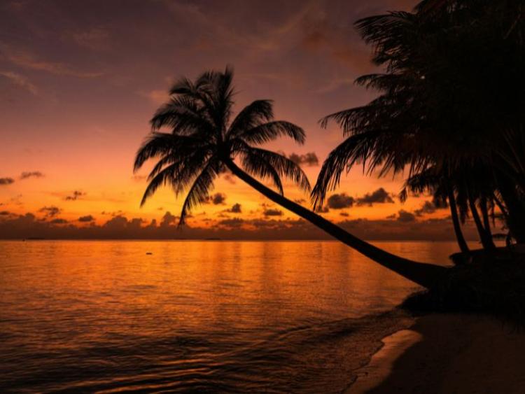 Dag 3 t/m 8: Dhiffushi Island