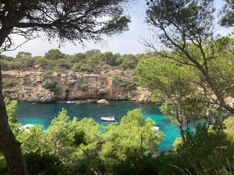 Jongerenreis Strand en Feest op Mallorca