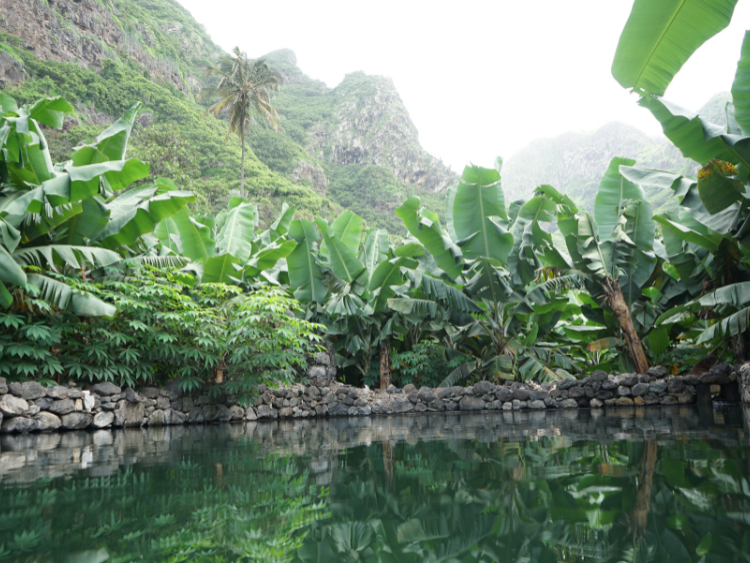 Singlereis Kaapverdië Actief in de winterzon
