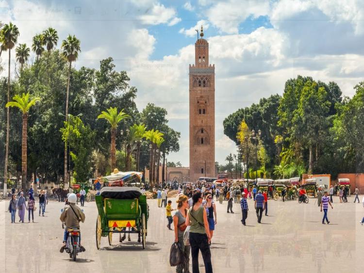 Singlereis Rondreis (HBO-WO) 8 dagen door Marokko