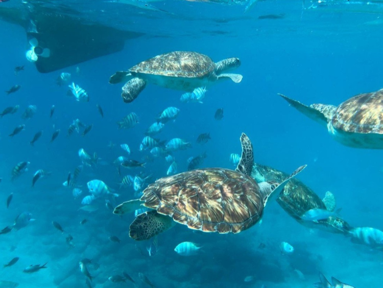 Singlereis Kaapverdië Actief in de winterzon