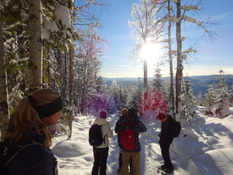 Singlereis Actief Winteravontuur In Zweden
