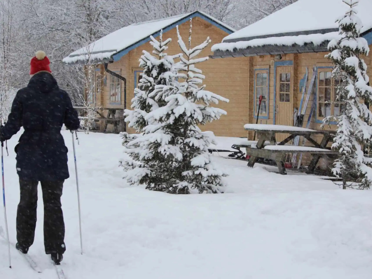 Singlereis Actief Winteravontuur In Zweden