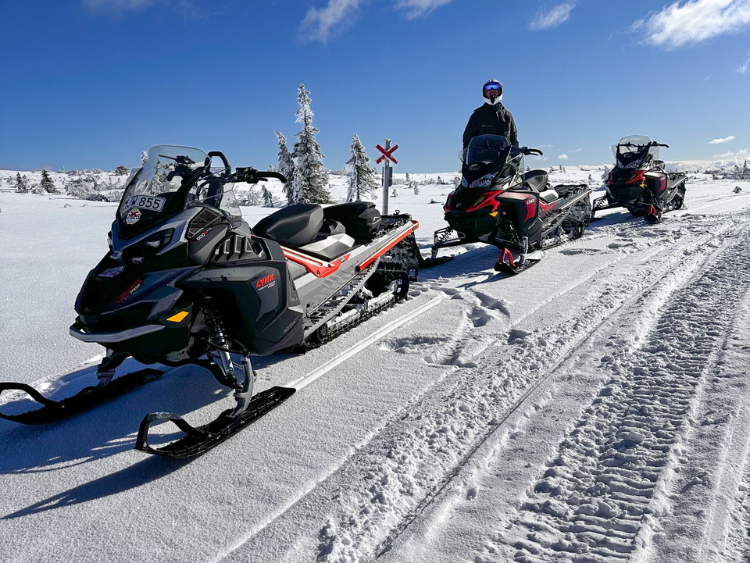 Singlereis Actief Winteravontuur In Zweden
