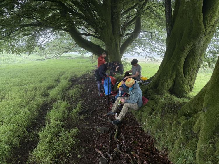 Dag 1: Ontsnap aan de sleur en verstop je in de natuur