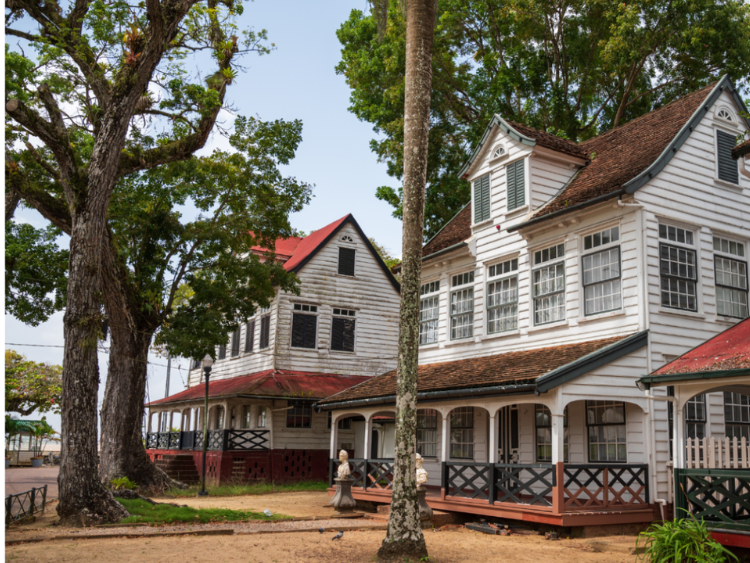 Singlereis Actief avontuur in Suriname