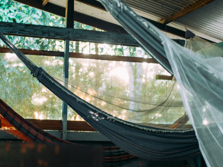 Singlereis Actief avontuur in Suriname