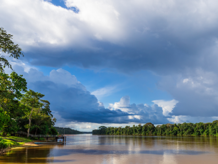 Singlereis Actief avontuur in Suriname