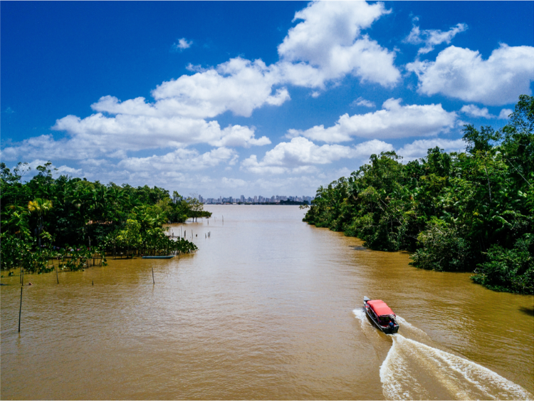 Singlereis Actief avontuur in Suriname