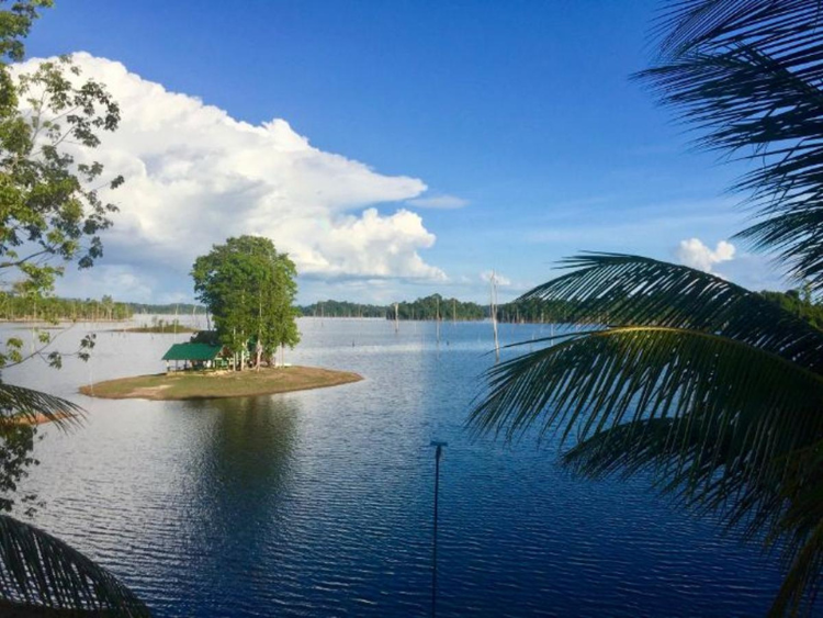 Singlereis Actief avontuur in Suriname