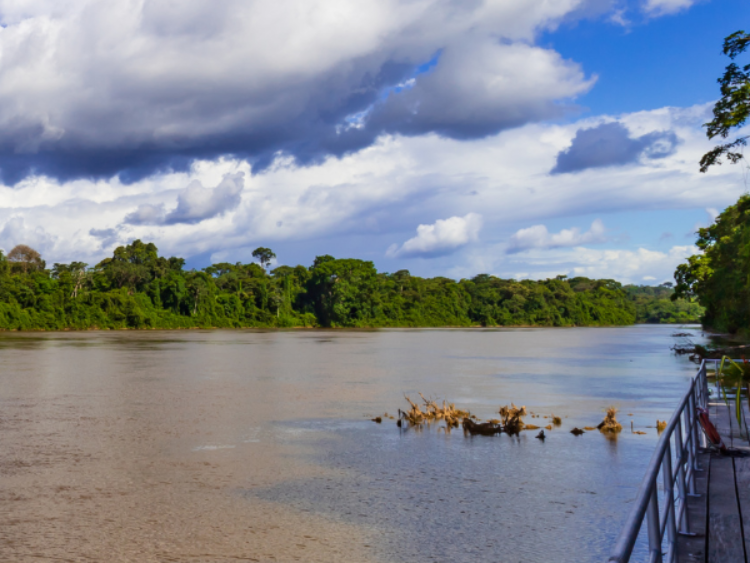 Singlereis Actief avontuur in Suriname