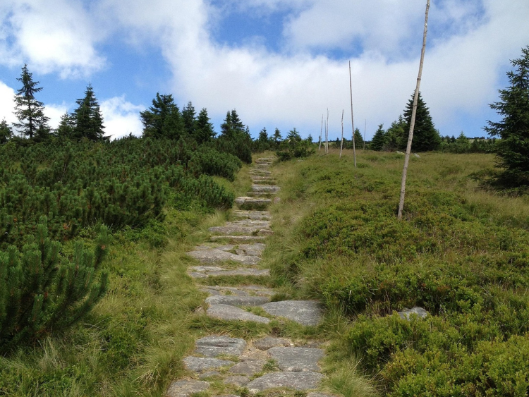 Singlereis Actieve vakantie Op de grens van Duitsland, Tsjechië en Polen