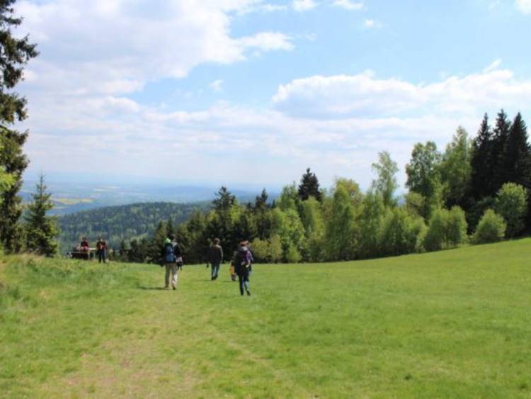 Singlereis Actieve vakantie Op de grens van Duitsland, Tsjechië en Polen