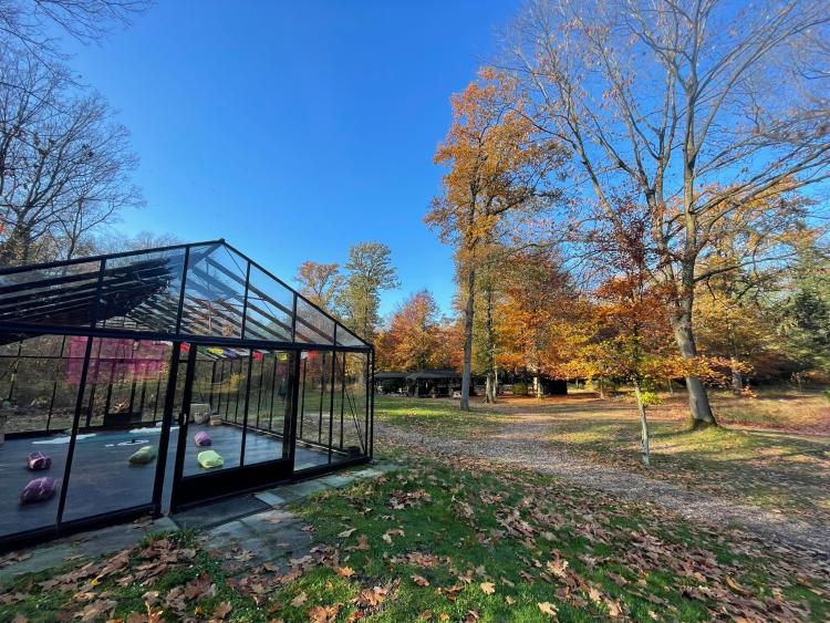 Singlereis Body en Mind Yoga en Wellness op de Veluwe