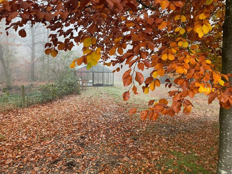 Singlereis Body en Mind Yoga en Wellness op de Veluwe