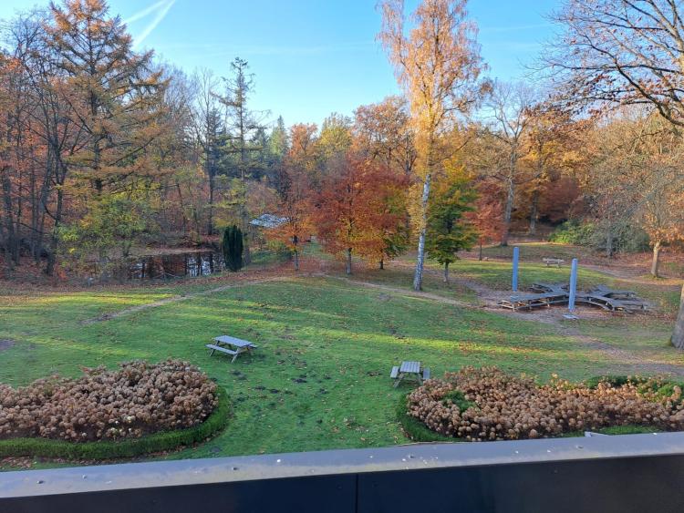 Singlereis Body en Mind Yoga en Wellness op de Veluwe