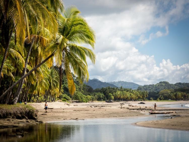 Dag 11 - Rincón de la Vieja N.P. - Playa Samara