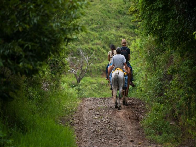 Dag 5 - La Fortuna / Arenal-vulkaan