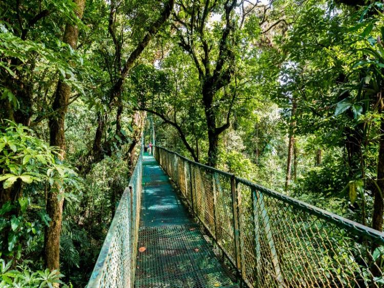 Dag 16 - La Cruz - Monteverde
