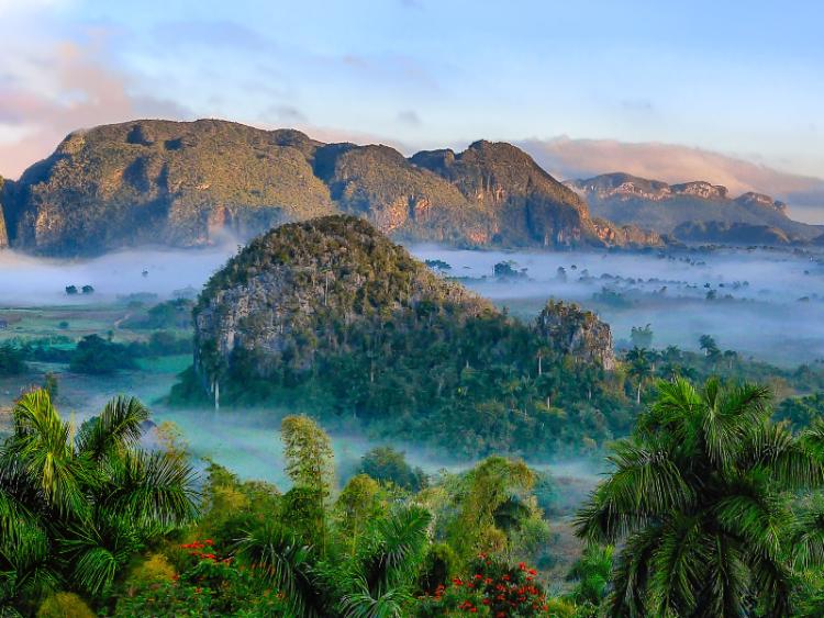 Dag 4 - Havana – Las Terrazas – Viñales