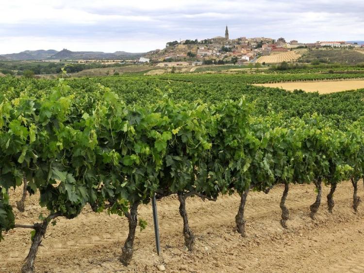 Singlereis Cultuur en Ontdek veelzijdig Baskenland