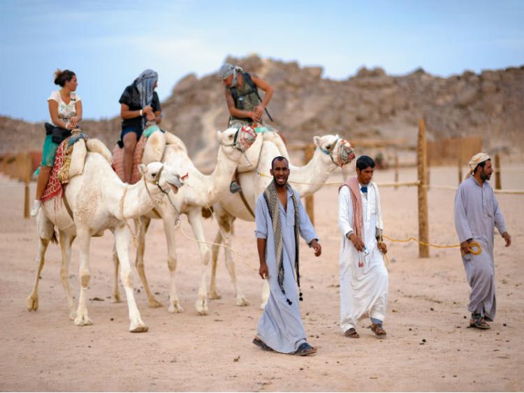 Dag 14 - Vertrek Hurghada - Caïro