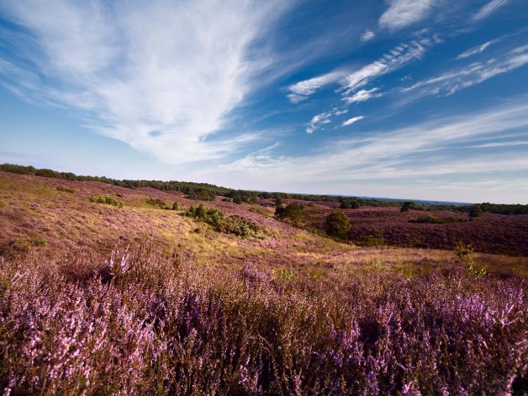 Singlereis Er even tussenuit Fietsen in Drenthe