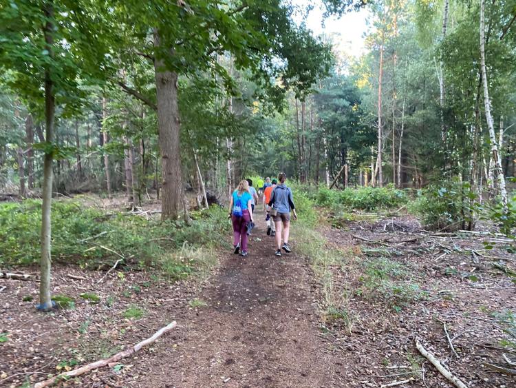 Singlereis Er even tussenuit Wandelen in Drenthe