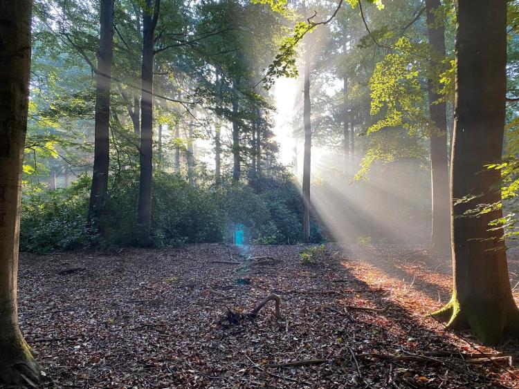 Singlereis Er even tussenuit Wandelen in Drenthe