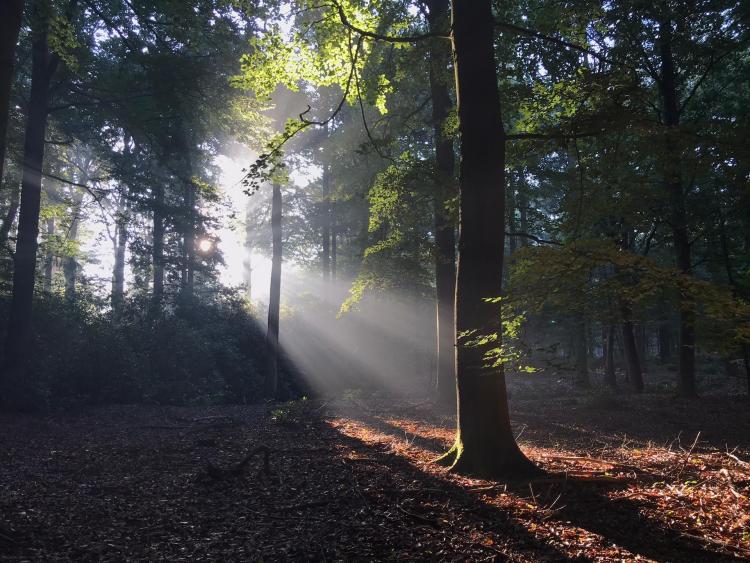 Singlereis Er even tussenuit Wandelen in Drenthe
