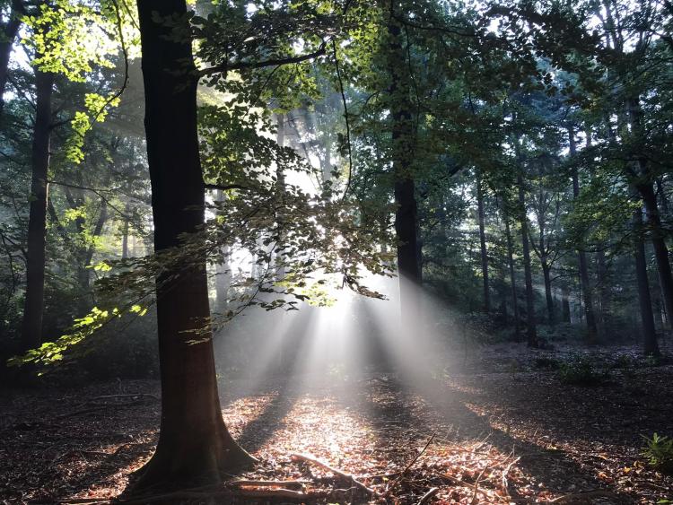 Singlereis Er even tussenuit Wandelen in Drenthe