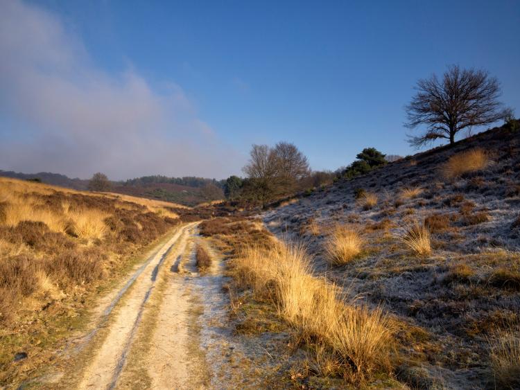 Singlereis Er even tussenuit Tussen Maas en Waal