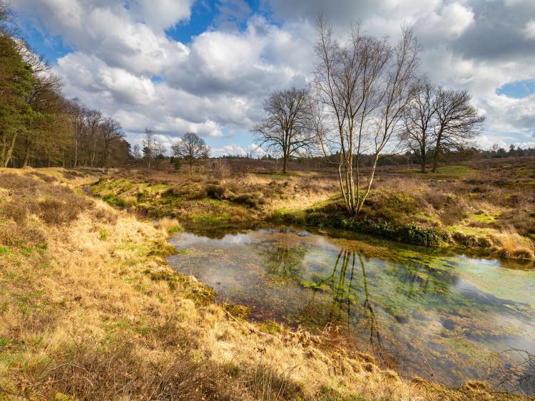 Singlereis Er even tussenuit Tussen Maas en Waal